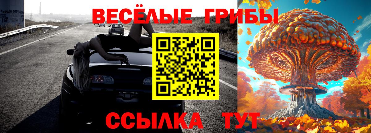 Псилоцибиновые грибы Magic Shrooms  где купить наркотик  Россия  Вход с VPN  Галлюциногенные грибы Magic Shrooms 